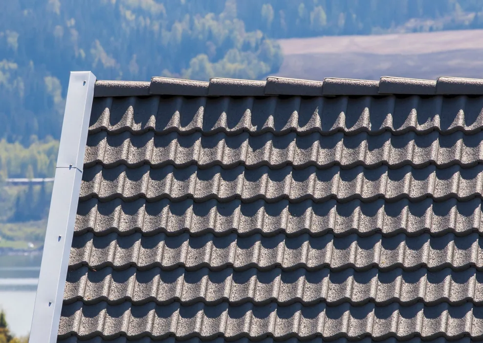 BMI-Norge-Miljøbilde-betongtakstein-arktis